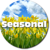 Seasonal Spring icon