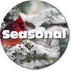 Seasonal Winter icon