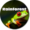 rainforest Coffee